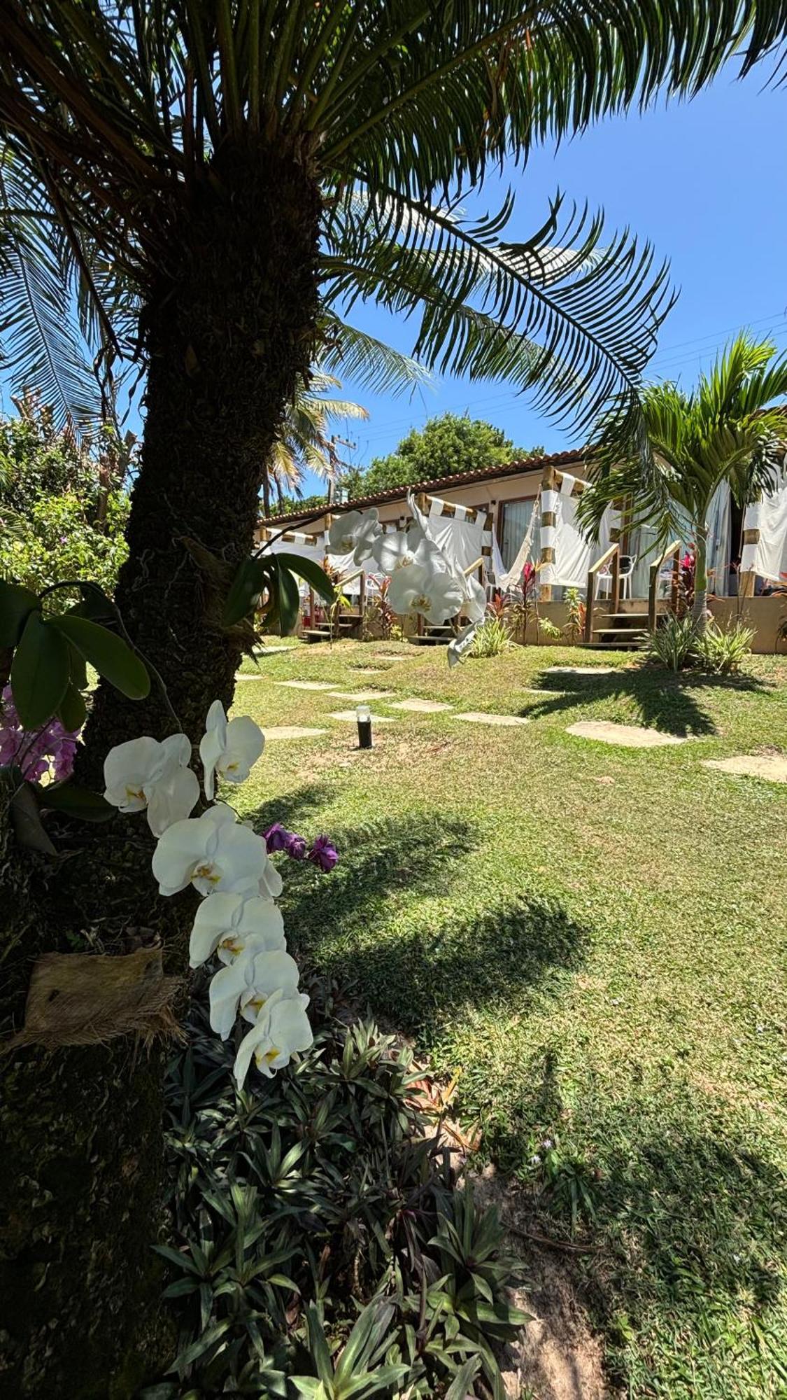 Hotel Da Pipa Praia de Pipa Zewnętrze zdjęcie