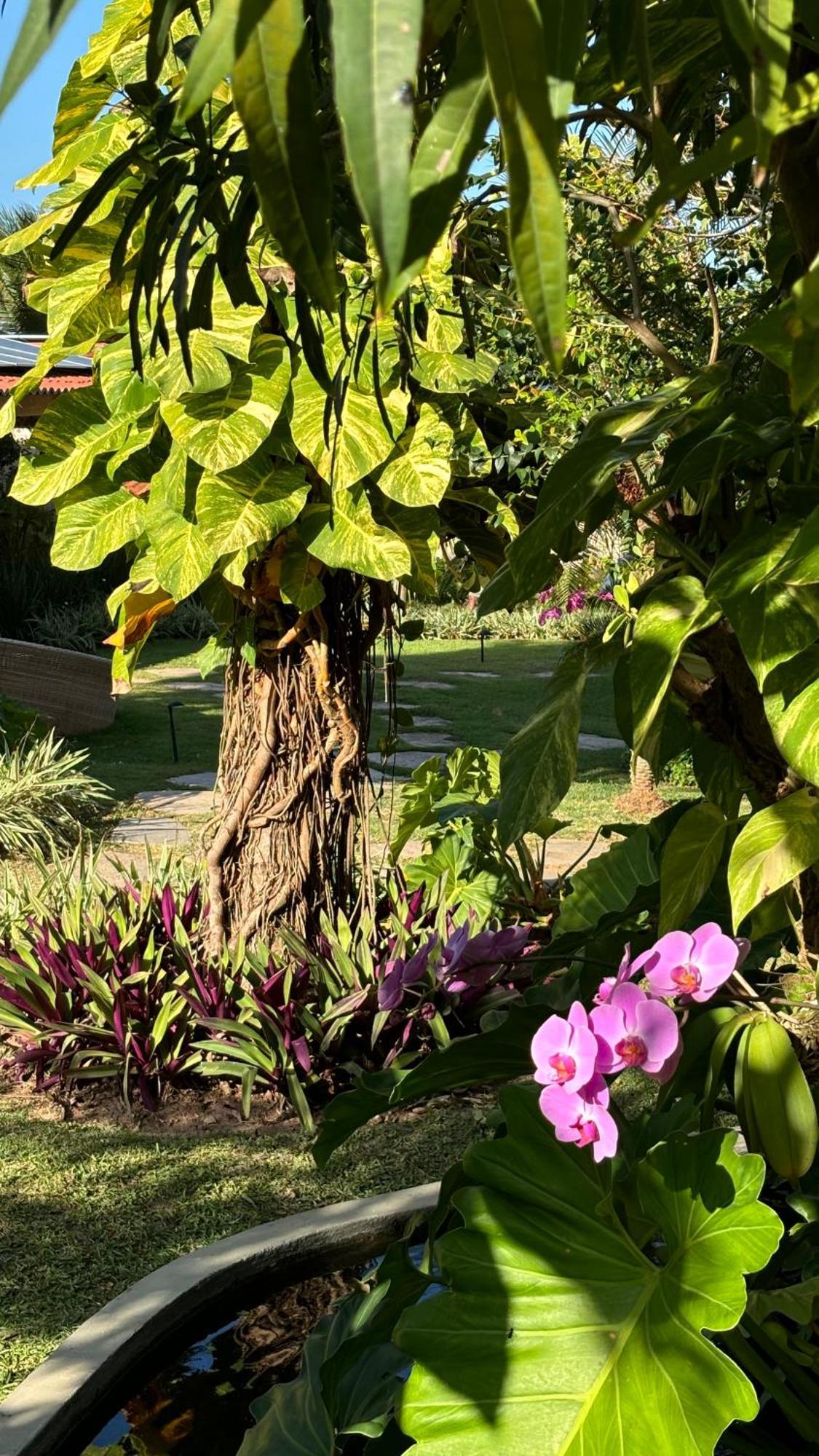Hotel Da Pipa Praia de Pipa Zewnętrze zdjęcie